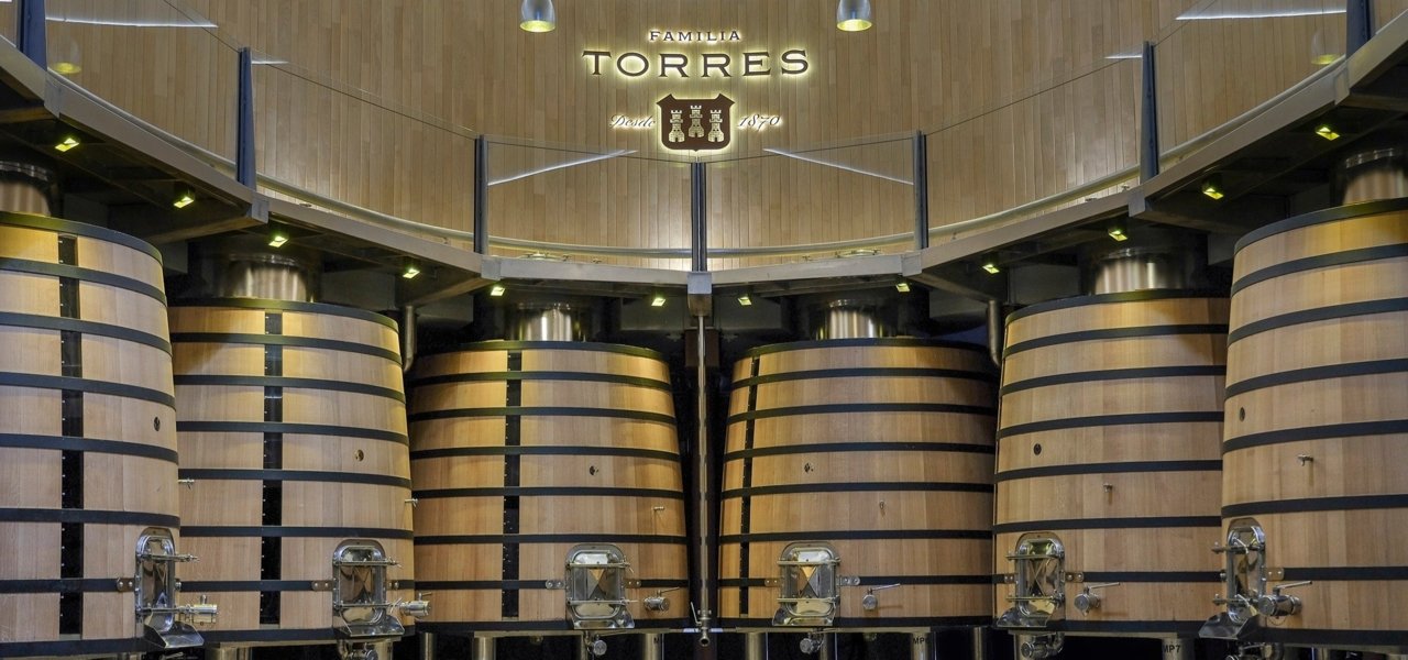Familia Torres - Cellar